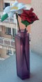 /album/fotogaleria/flor2-jpg1/